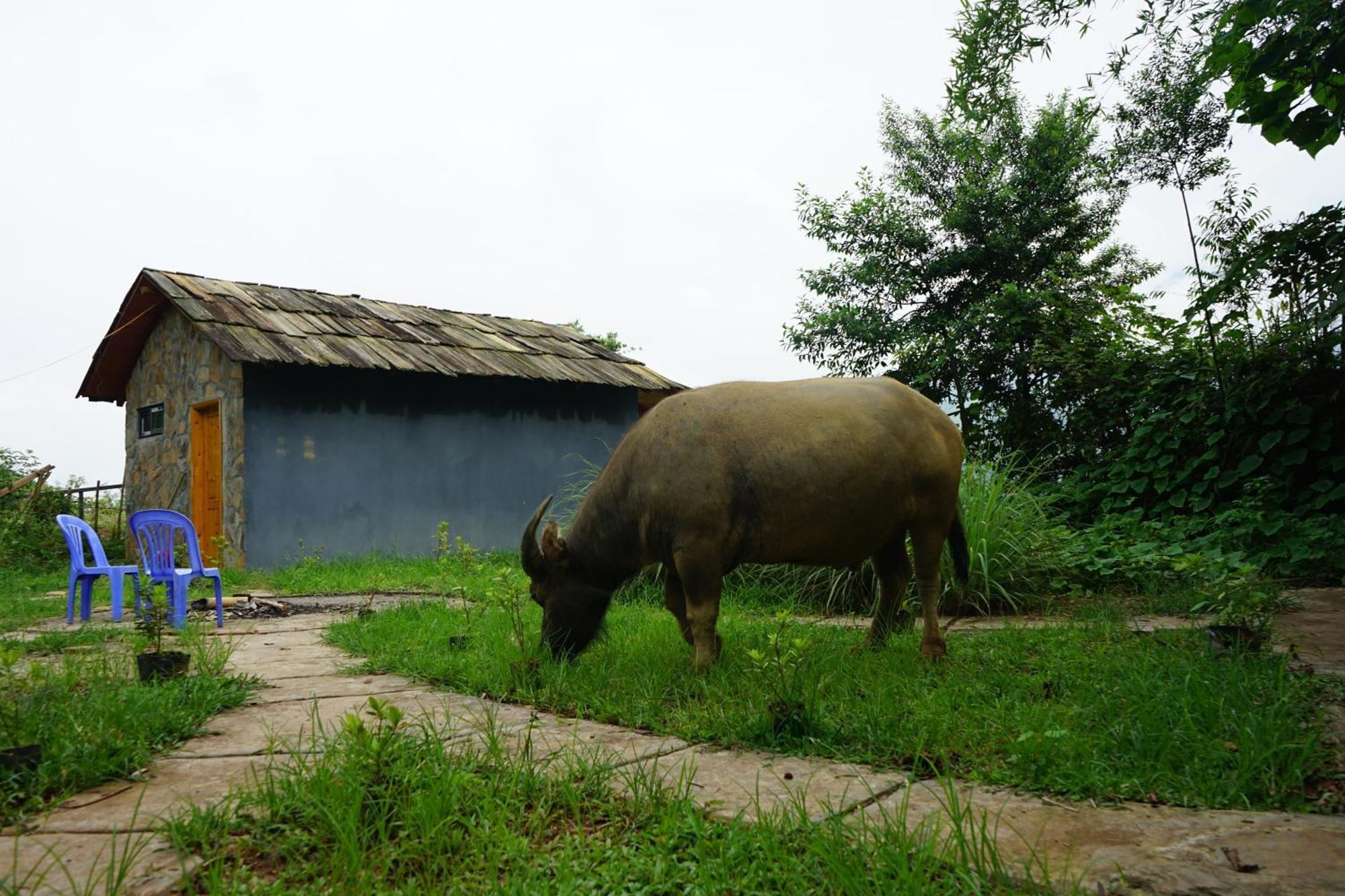 Sapa Hillcrest Homestay Лаокай Экстерьер фото