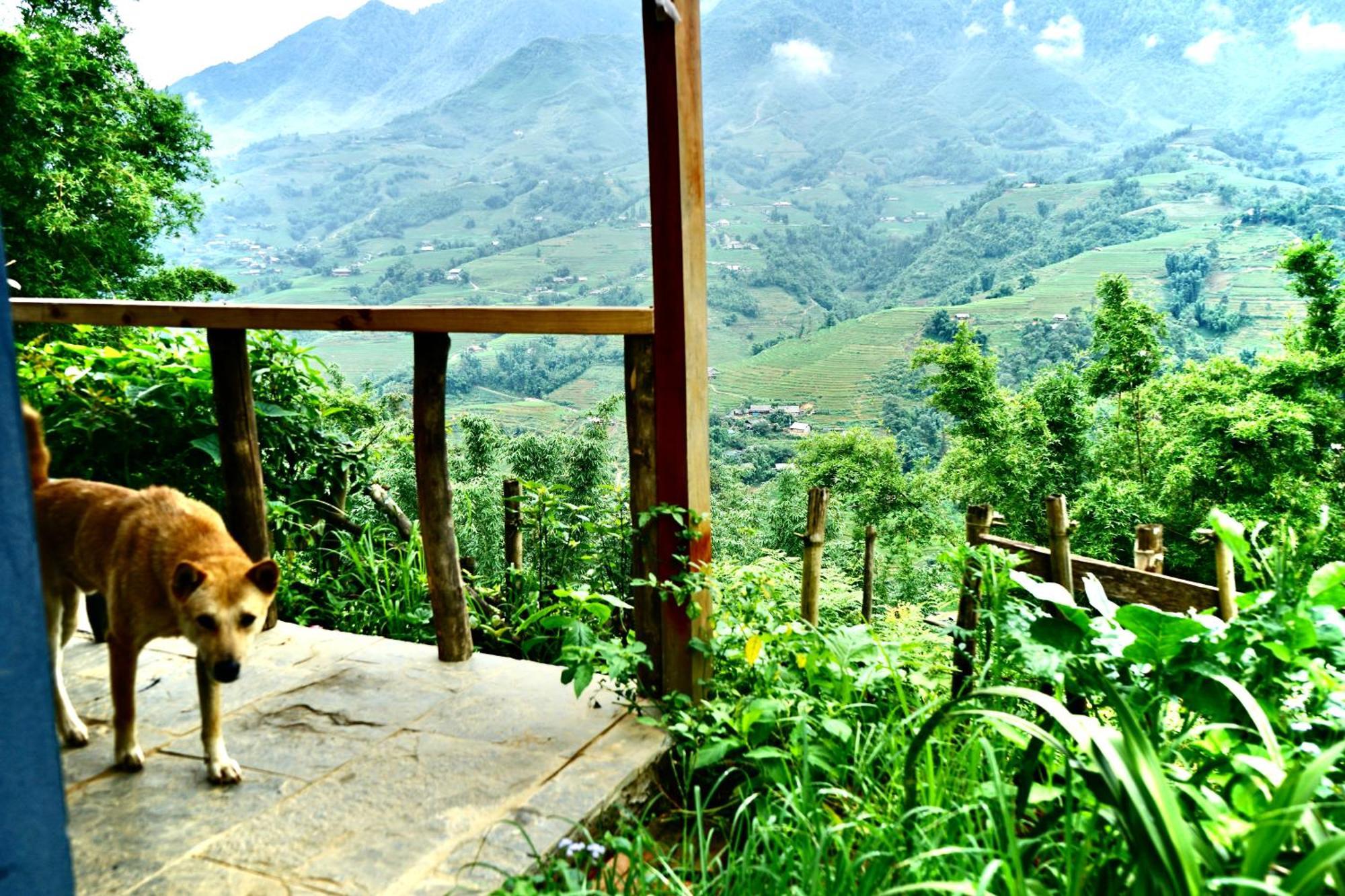 Sapa Hillcrest Homestay Лаокай Экстерьер фото