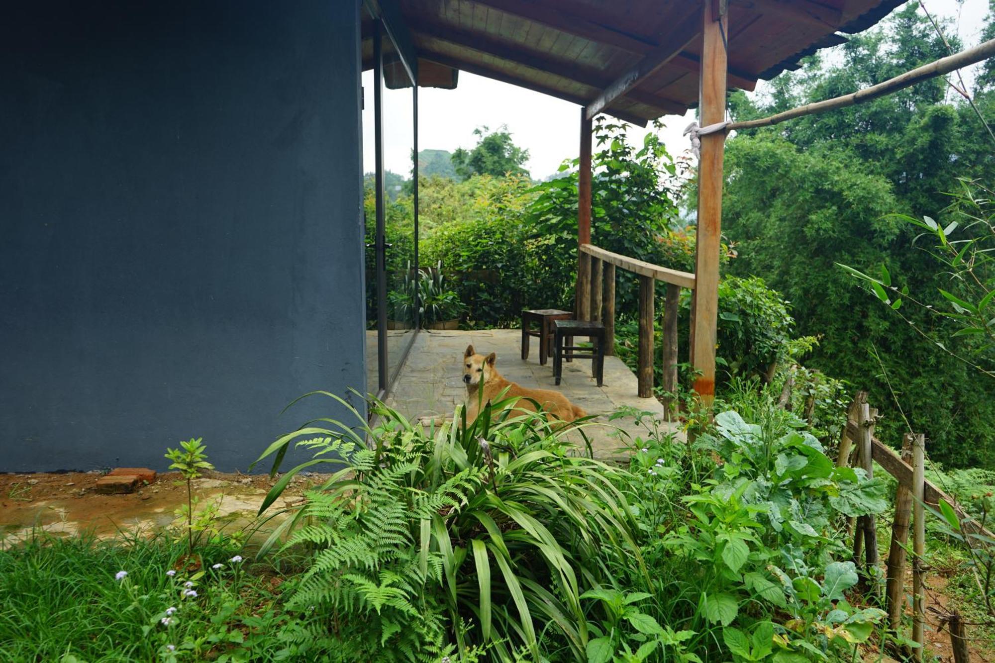 Sapa Hillcrest Homestay Лаокай Экстерьер фото